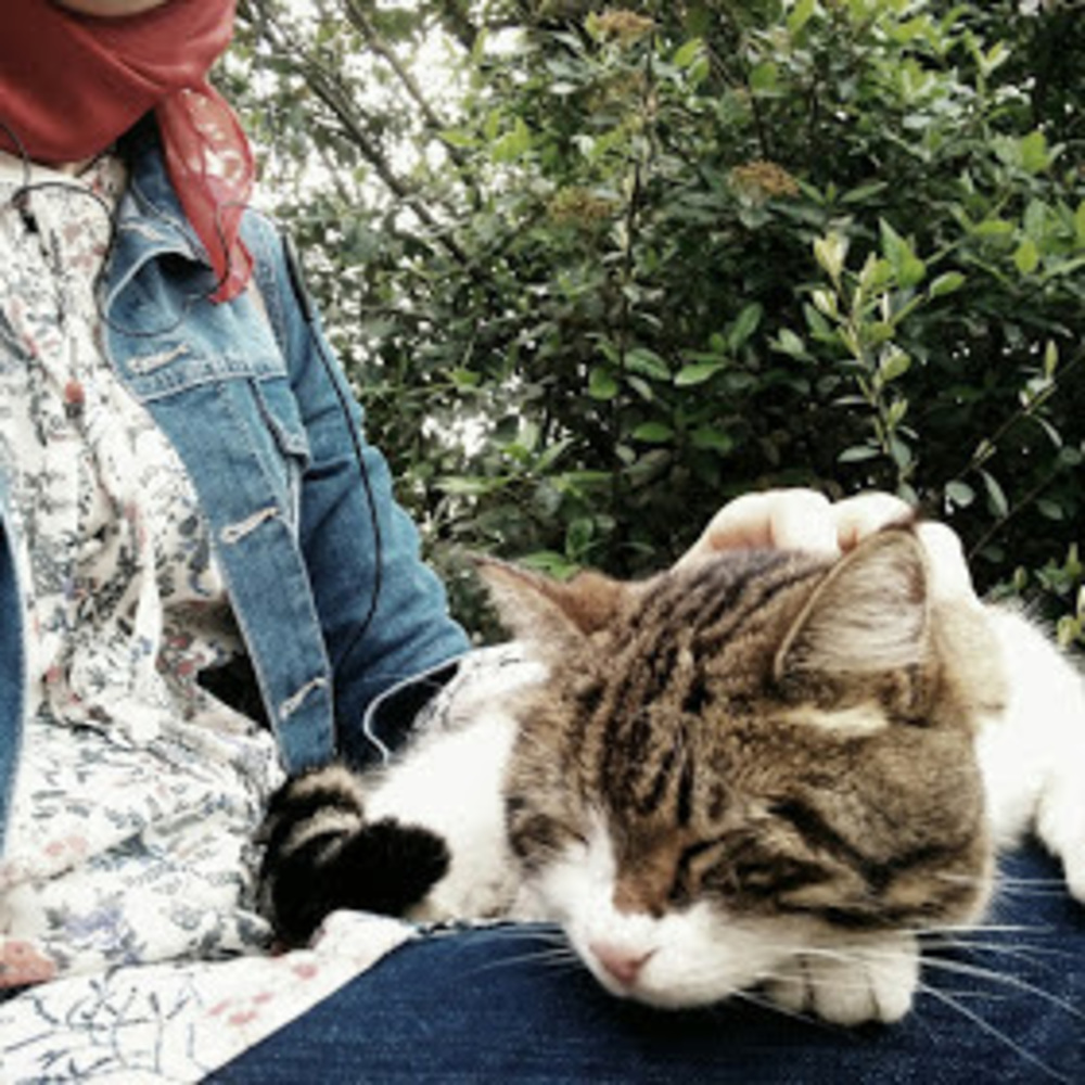 Meet your Posher, Meryem